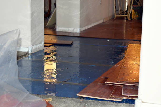 Professional Flood Cleanup technician working in Southport, NC